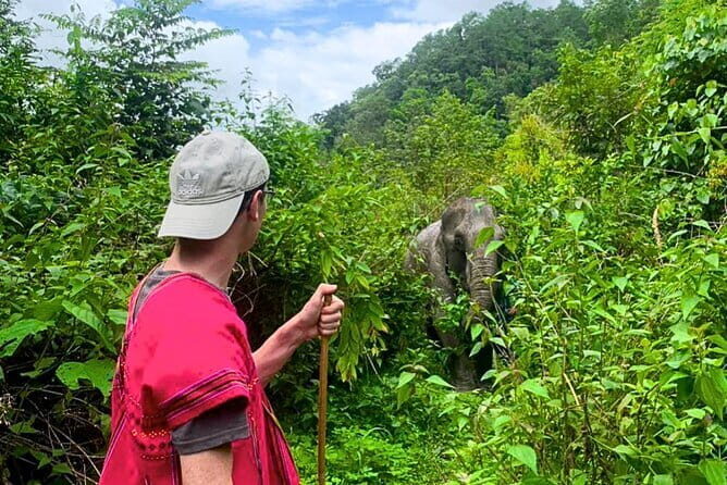 Chiang Mai 3 Activity Sunrise Suthep Temple Elephant Sanctuary - Practical Aspects & What You Need to Know