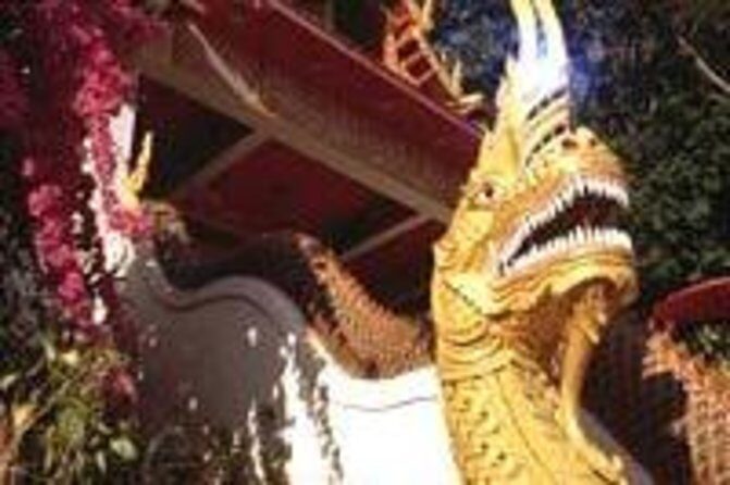 Chiang Mai Airport Departure  Private Transfer from Hotel to Airport - Real Experiences and Insights