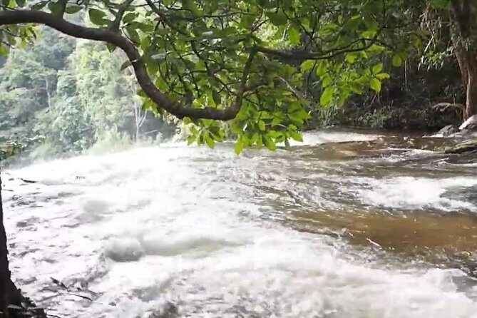 CHIANG MAI: Doi Inthanon-Trekking Pha Dok Seaw-Waterfall-Lunch - What Travelers Are Saying