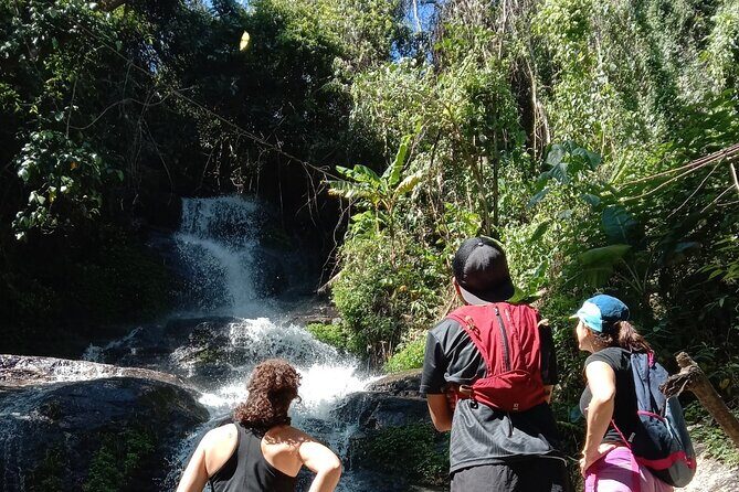 Chiang Mai: Doi Suthep Summit Trek  7 Hour Pure Hiking Adventure - An In-Depth Look at the Doi Suthep Summit Trek