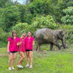 Chiang Mai Elephant Sanctuary Observation and Bamboo Rafting - Final Thoughts: Is This Tour Right for You?