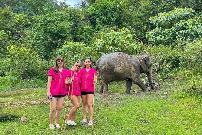 Chiang Mai Elephant Sanctuary Observation and Bamboo Rafting - Final Thoughts: Is This Tour Right for You?
