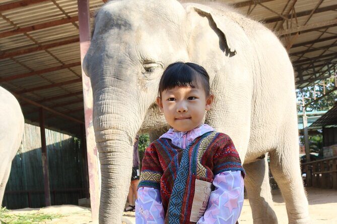 Chiang Mai Elephant Sanctuary Small Group Ethical Tour - Practical Tips for a Smooth Experience