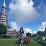 Chiang Mai Full Day Tour: Elephant Sanctuary, Waterfall & Sights - Why This Tour Is Worth It