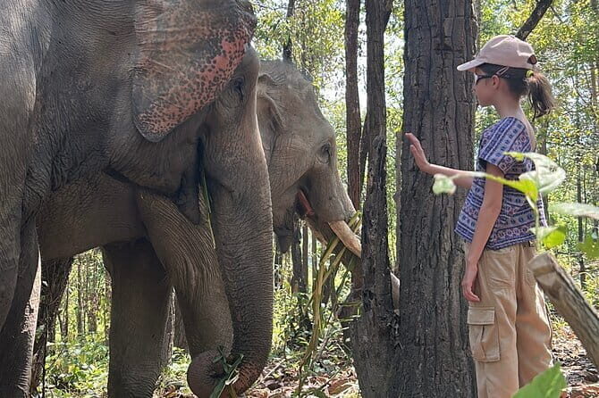 Chiang Mai Half Day Tour: Doi Inthanon Elephant Sanctuary - What Reviewers Say