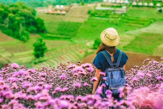 Chiang Mai Mon Jam Highlands and Pongyang Full-Day Private Tour - Who Would Love This Tour?