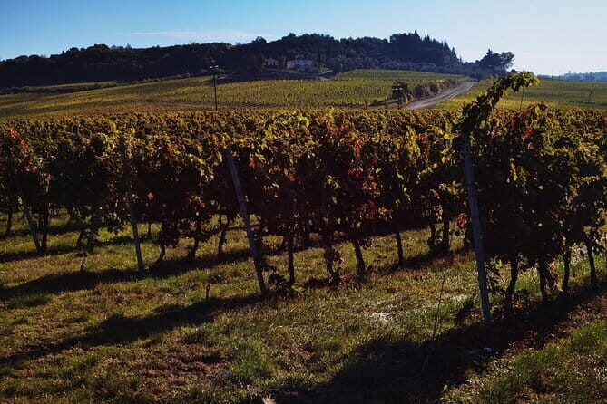 Chianti Classico E-bike Tour - The Scenic Ride and Its Highlights