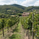 Chianti Day trip from Florence - Practical Details & What to Expect