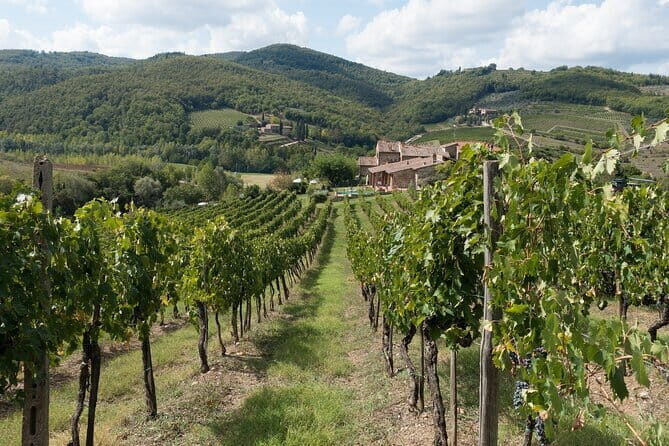 Chianti Day trip from Florence - Practical Details & What to Expect