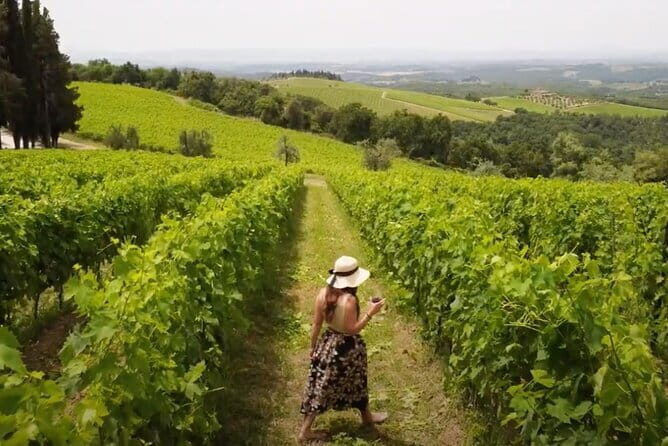 Chianti vineyards: Small-Group tour with wine tasting & Dinner - Value for Money and Practicalities