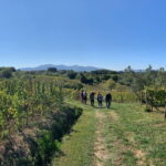 Chianti Wine Tasting Tour from Florence (2 Wineries) - In-Depth Look at the Itinerary