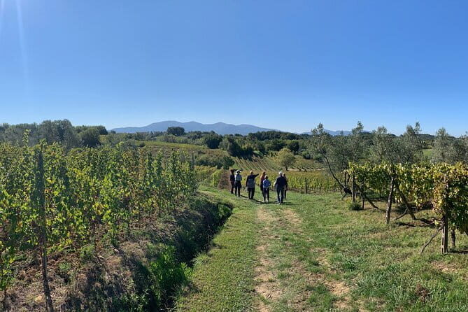 Chianti Wine Tasting Tour from Florence (2 Wineries) - In-Depth Look at the Itinerary