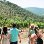 Chianti Wine Tour from Florence - Who Will Love This Tour?