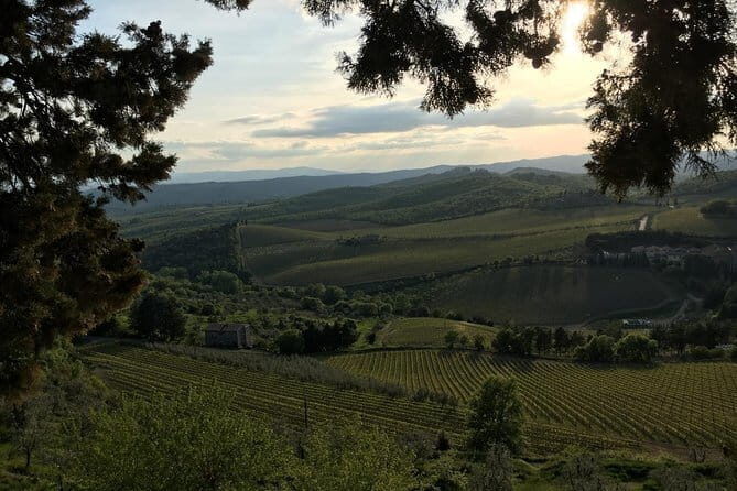 Chianti Wine Tour - Private Wine experience in Tuscany Countryside - What Makes This Tour Stand Out?