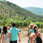 Chianti Wine Tour: Two Wine Tastings, Vineyards and Cellar Visit - Transportation and Practicalities