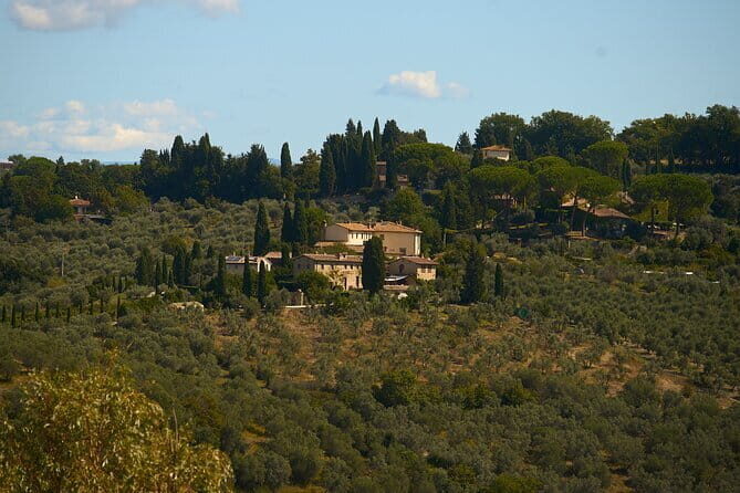 Chianti Wine Tour with Tastings Semi-Private Experience - Who Is This Tour Perfect For?