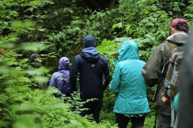 Chilkoot Trail Hike, Float, and Summit Drive - Practical Details and Value