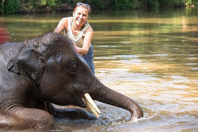 Chitwan National Park Tour - Practical Considerations