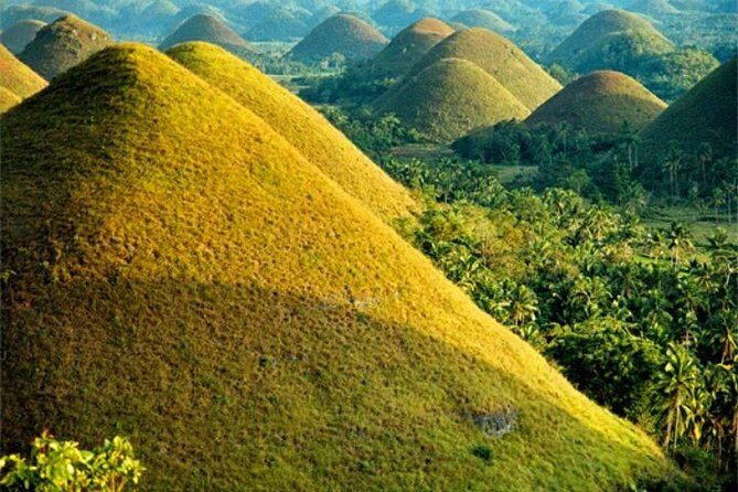 Chocolate hills tour with Tarsier & Loboc river Buffet Lunch (half-day tour) - What Sets This Tour Apart