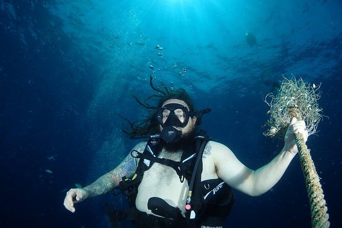 Chumphon Pinnacle-Koh Tao 2 dive trip for certified divers - What Sets This Tour Apart?