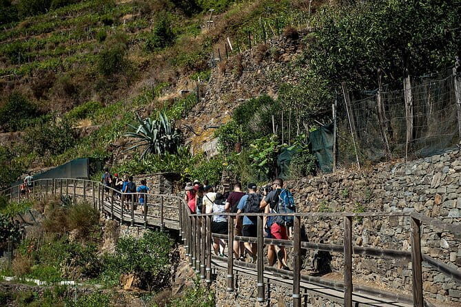 Cinque Terre Day Trip from Florence with Optional Hiking - Transportation and Value