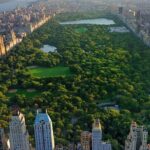 Classic 1-Hour Central Park Pedicab Tour - Final Thoughts