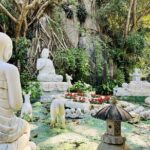 Classic Da Nang Tour to Marble Mountain and Son Tra Peninsula - What This Tour Means for You