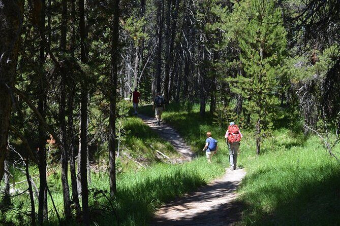 Classic Yellowstone Hike to the Shores of Lake Shoshone (Private - What to Expect on the Trail