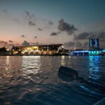 Clear Kayaking Glow Tour in Tampa Riverwalk - What the Experience Offers
