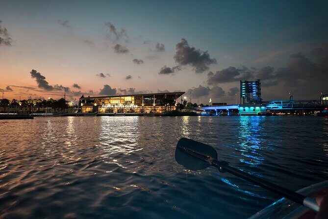 Clear Kayaking Glow Tour in Tampa Riverwalk - What the Experience Offers
