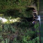Cliff Jumping and Sliding at Aling Aling Waterfall - Who Should Consider This Tour?