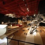 Coal & Fossil Museum Admission Ticket - Exploring the Itinerary
