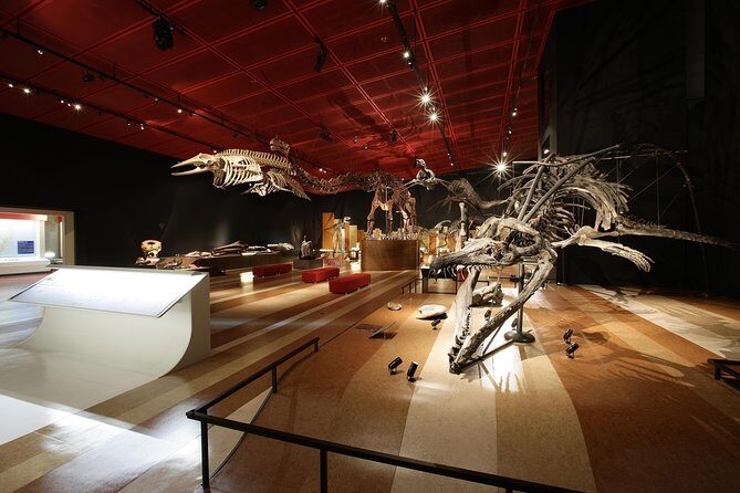 Coal & Fossil Museum Admission Ticket - Exploring the Itinerary