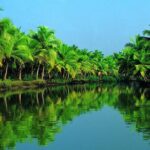 Cochin Shore Excursion: Backwater Houseboat Tour and Chinese Nets - Practical Details and What to Keep in Mind