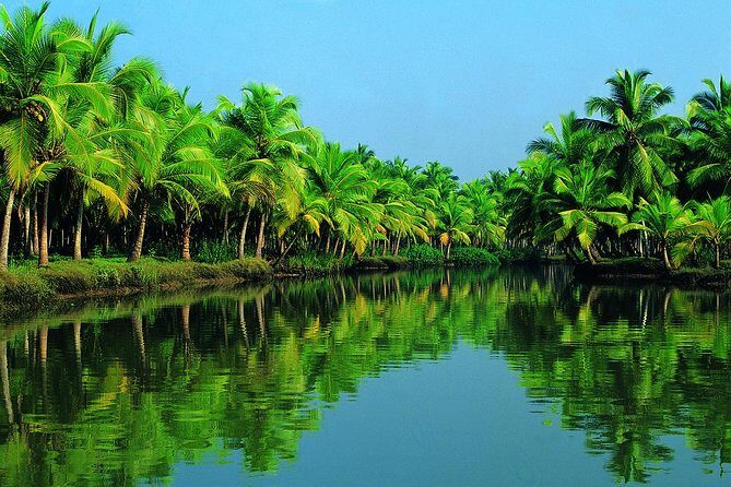 Cochin Shore Excursion: Backwater Houseboat Tour and Chinese Nets - Practical Details and What to Keep in Mind