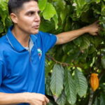 Coffee & Chocolate Tour+Sloths Park & Llanos de Cortez Waterfall - Why We Love This Tour