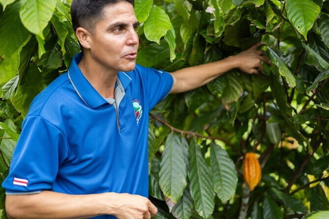 Coffee & Chocolate Tour+Sloths Park & Llanos de Cortez Waterfall - Why We Love This Tour