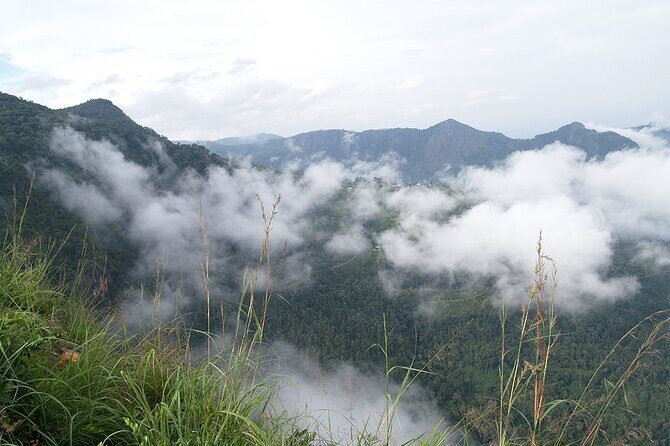 Coimbatore to Ooty- transfers+Hotel+Sightseeing - Why This Tour Offers Great Value
