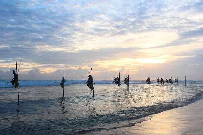 Colombo to Galle All Inclusive Private Day Tour - Detailed Breakdown of the Itinerary