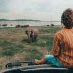 Colombo to Trincomalee Shuttle & Safari Drive - Authentic Experiences That Make a Difference