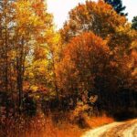 Colorado Peak-to-Peak Tour (Fall-Color-Extravaganza) - Why This Tour Offers Great Value