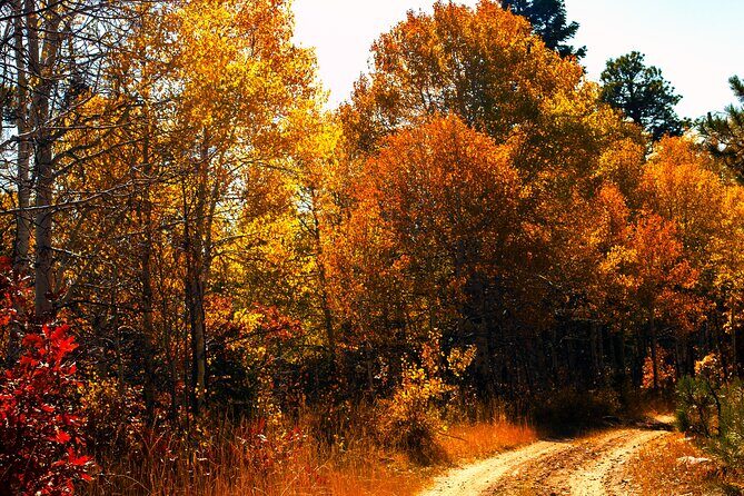 Colorado Peak-to-Peak Tour (Fall-Color-Extravaganza) - Why This Tour Offers Great Value