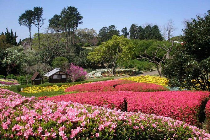 Colors of Japan, Fukuoka Nokonoshima Island Park & Wagyu BBQ - What Makes This Tour Special?