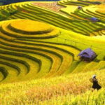 Colors of Sapa - Vietnam 2 Days Tour - Whats Included and Whats Not