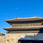 Contemporary & Retro Seoul Private Tour with Local Food Tasting - What Makes This Tour Special
