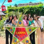 Cooking Class Hoi An - Organic Garden - Farming Tour - The Layout of the Tour: What to Expect