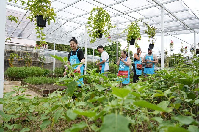 Cooking Class with Organic Farm in Chiang Mai at Mama Noi - A Detailed Look at the Itinerary