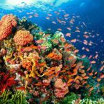 Coron Island Tour A (Shared Tour) - The Real Deal: Pros and Cons Based on Reviews