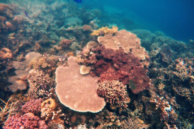 Coron Island Tour B (Shared Tour) - Frequently Asked Questions (FAQs)