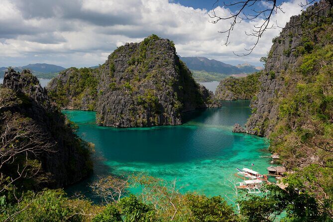 Coron Ultimate Tour - Private Tour w/ Buffet Lunch (Full Day) - Coral Garden – Underwater Biodiversity at Its Best
